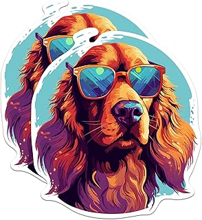 Best Dog Food for Irish Setters