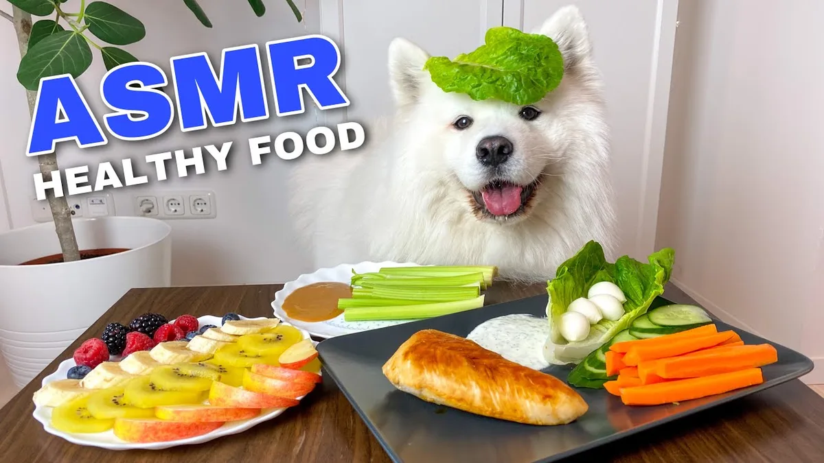 60lb dog eating healthy