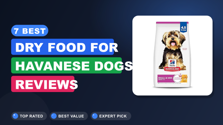 7 Best Dry Food for Havanese Dogs Reviews