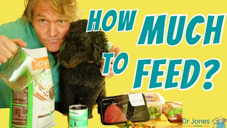 70 lb dog feeding portion