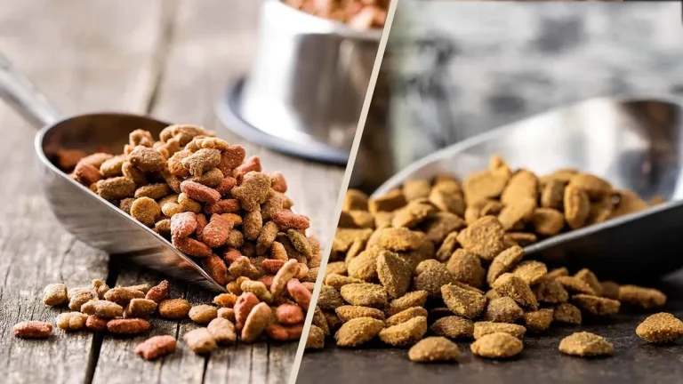 adult dog food vs puppy food