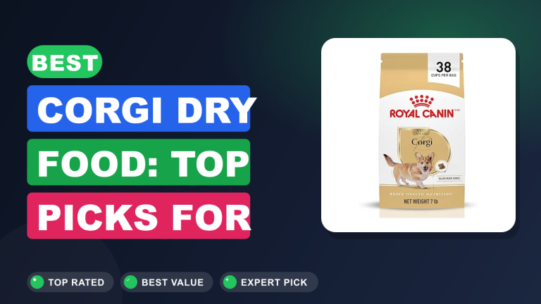 Best Corgi Dry Food: Top Picks for Happy Dogs