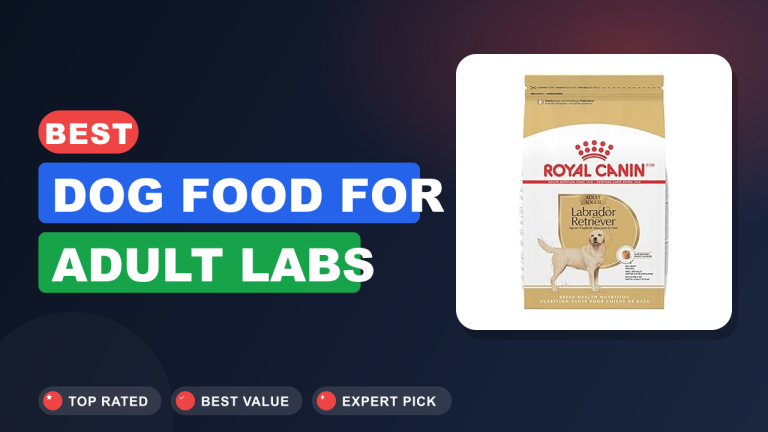 Best Dog Food for Adult Labs