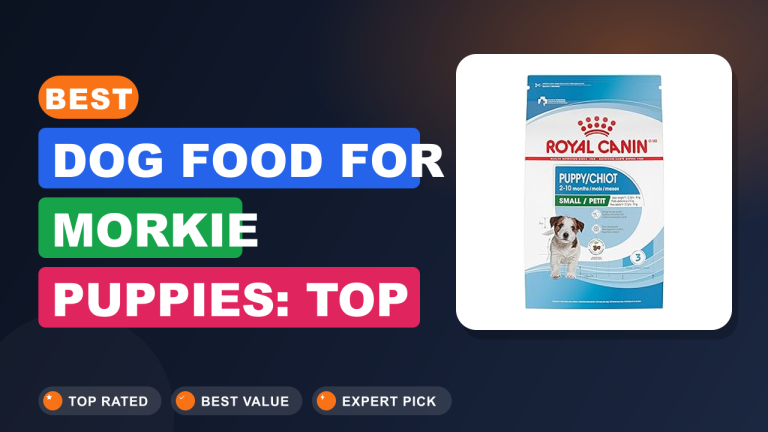Best Dog Food for Morkie Puppies: Top Picks