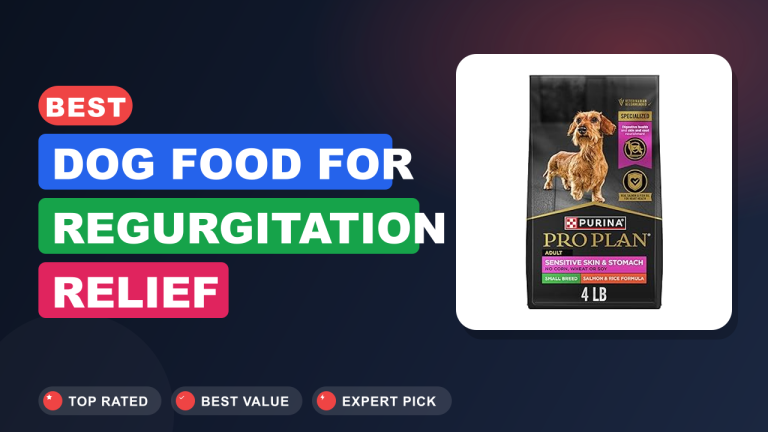 Best Dog Food for Regurgitation Relief