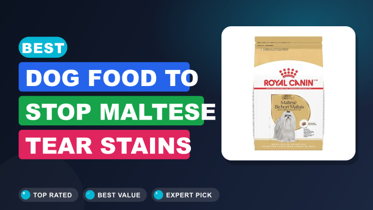 Best Dog Food to Stop Maltese Tear Stains