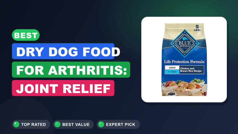 Best Dry Dog Food for Arthritis: Joint Relief Picks