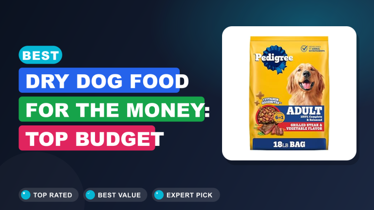 Best Dry Dog Food for the Money: Top Budget Picks