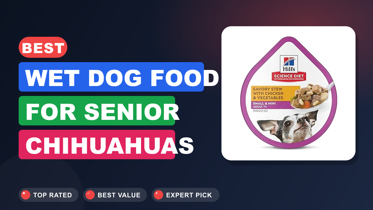 Best Wet Dog Food for Senior Chihuahuas