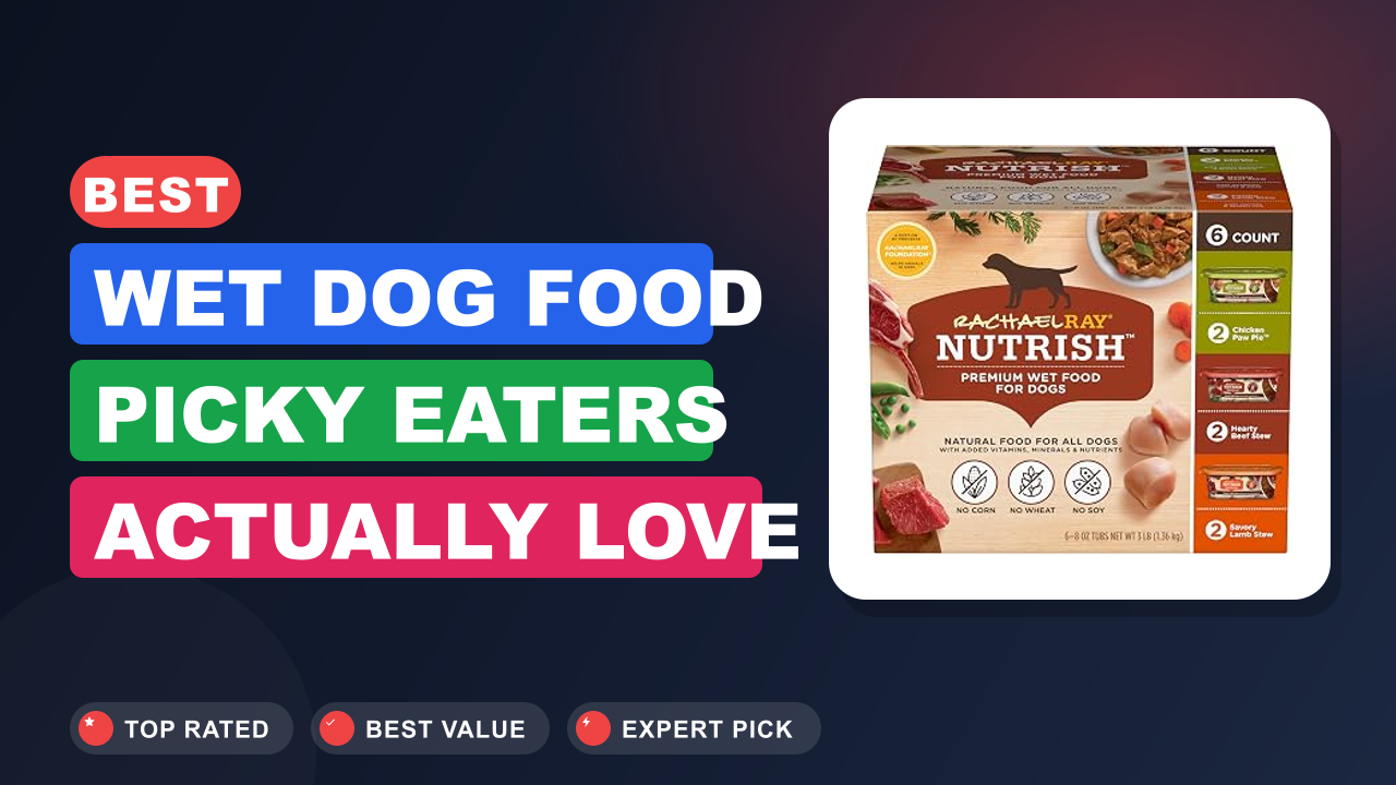 Best Wet Dog Food Picky Eaters Actually Love
