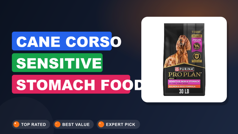 Cane Corso Sensitive Stomach Food Guide