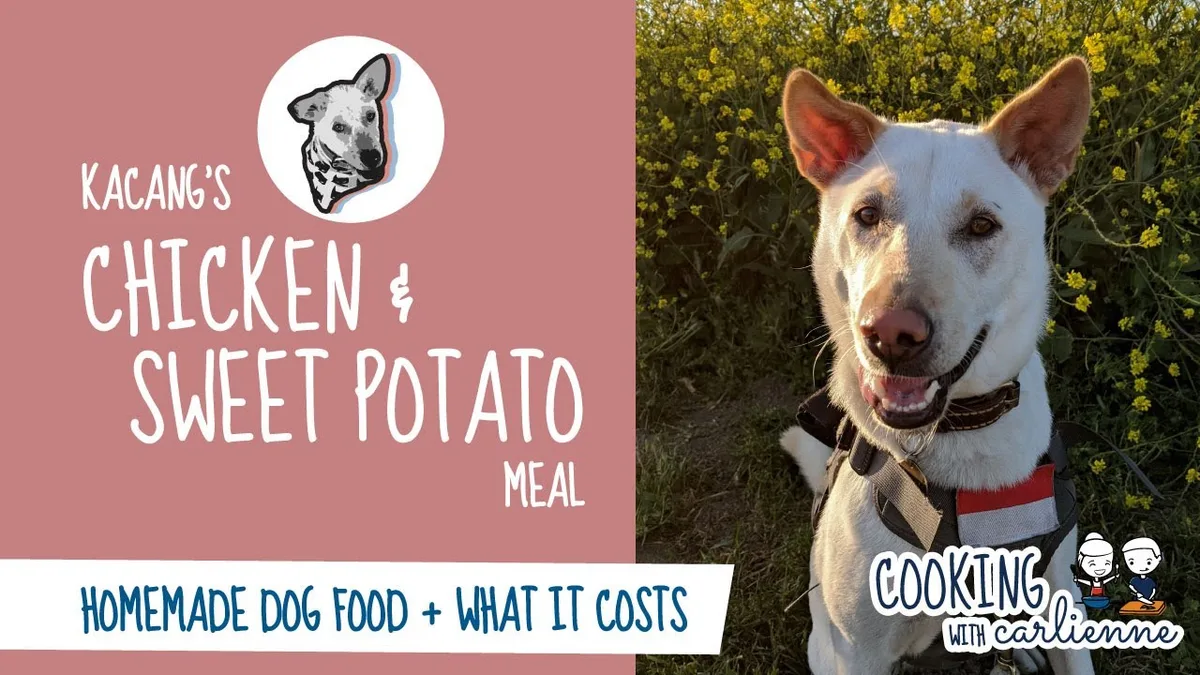 chicken sweet potato dog food