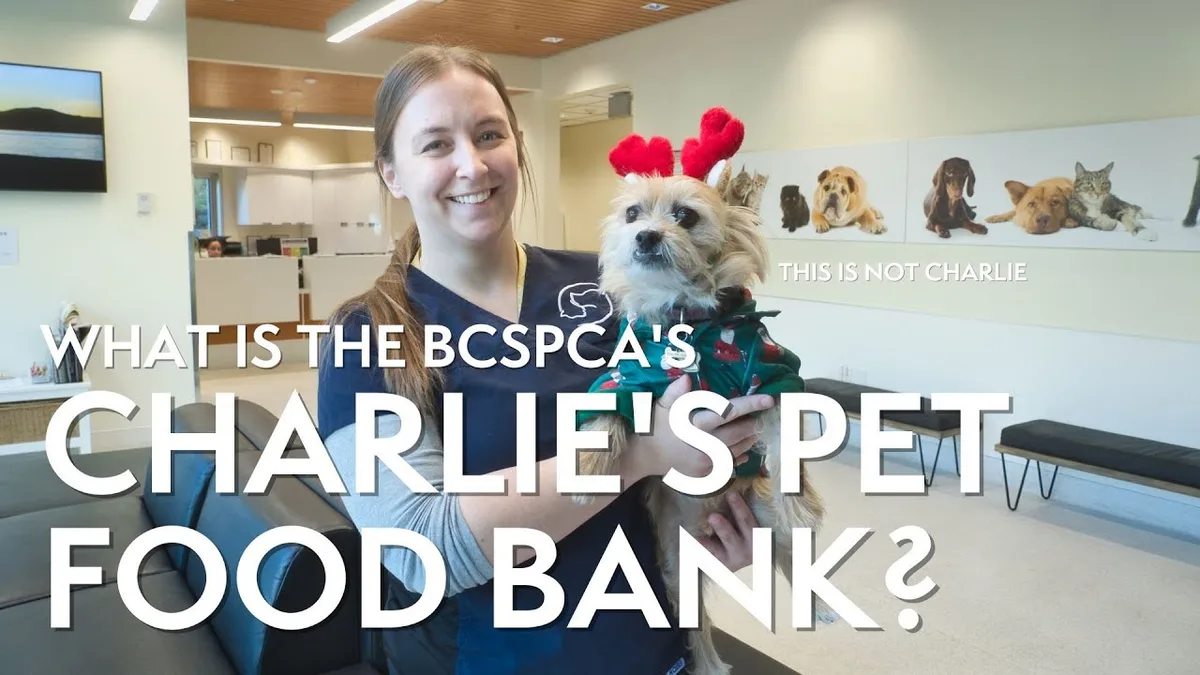 community pet food bank