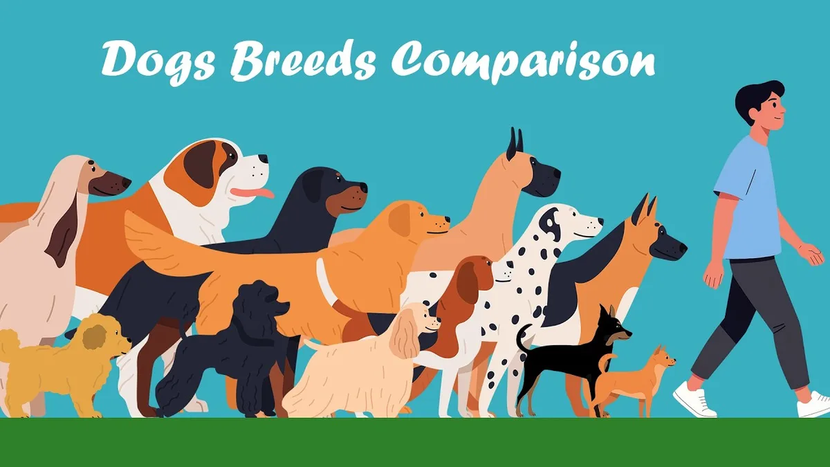 dog breed size classification chart