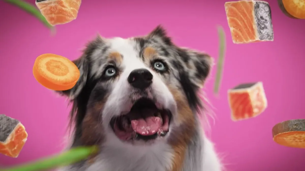 dog food comparison