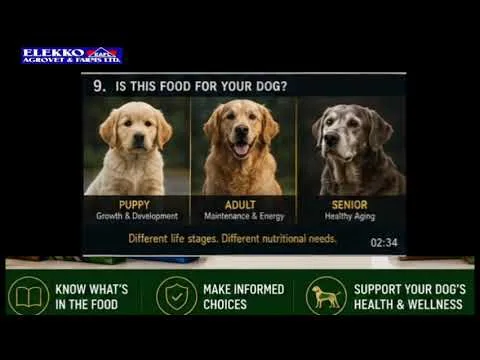 dog food ingredient label red flags