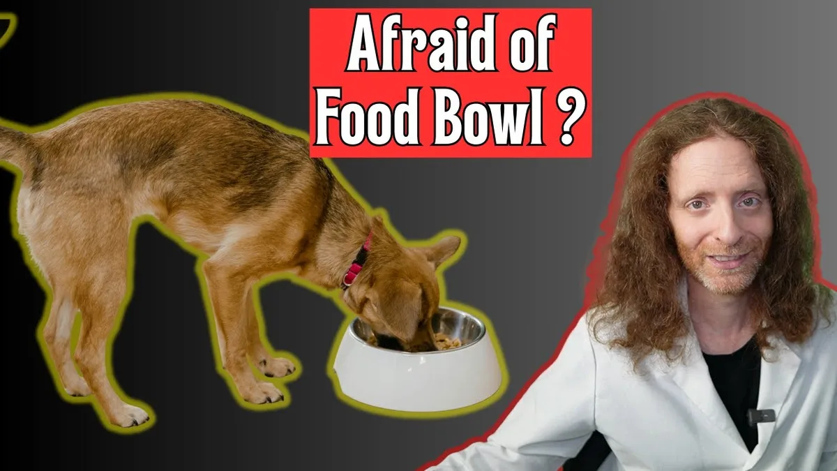dog food toppers appeal