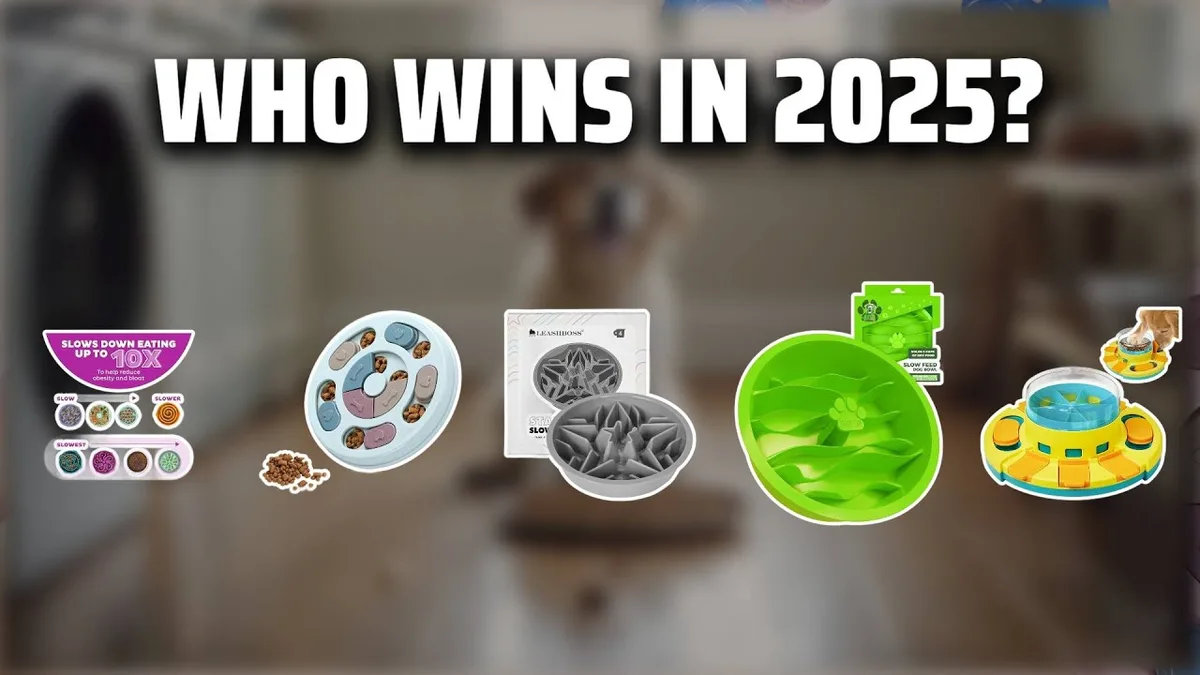 dog puzzle feeder