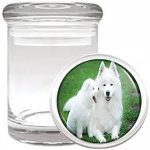 Dog samoyed 01 Medical Glass Jar
