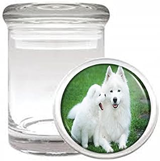 Dog samoyed 01 Medical Glass Jar