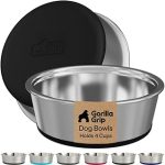 Best Food Bowls for Dogs