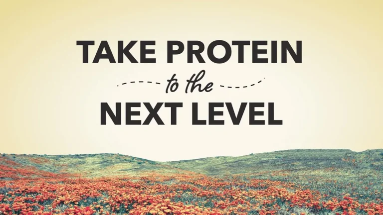 high-protein dog food