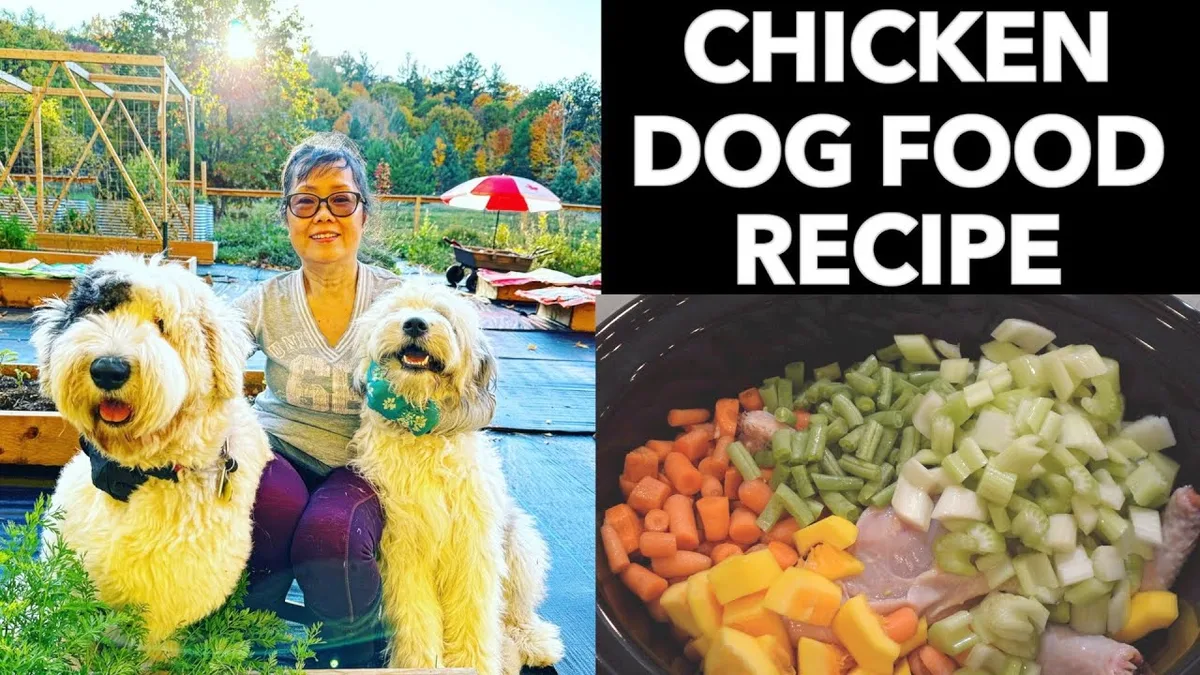 how to make fresh dog food with chicken