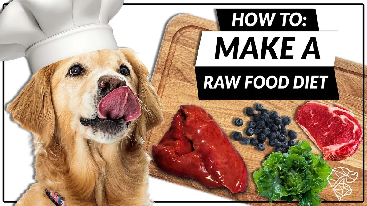 how to start raw food diet for dogs