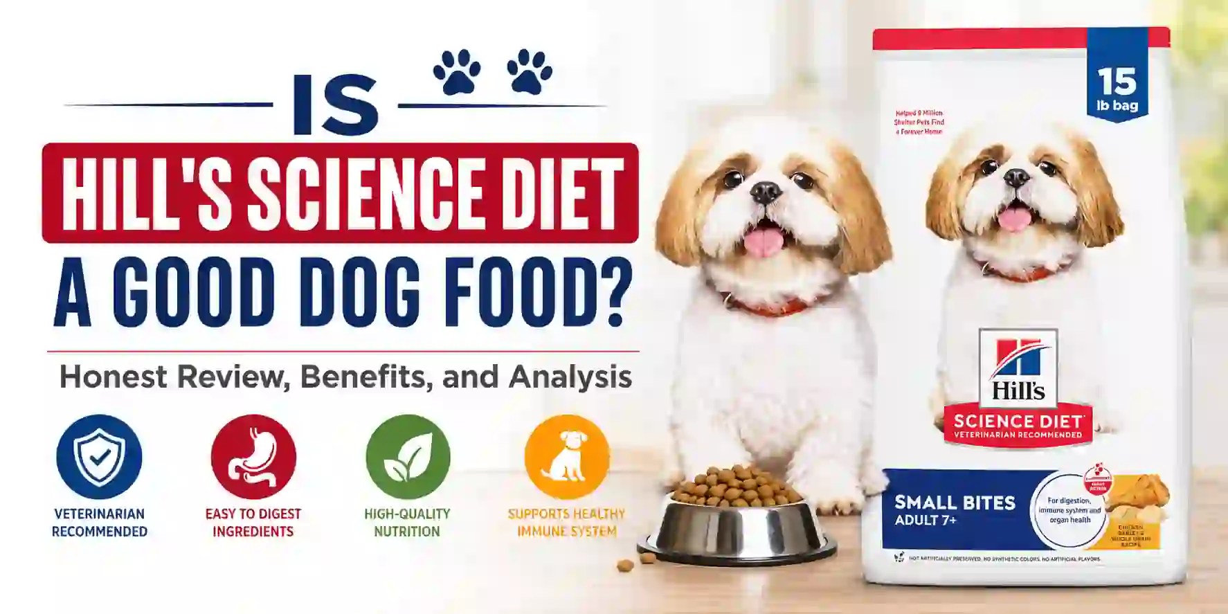 Best Food for Senior Small Dogs