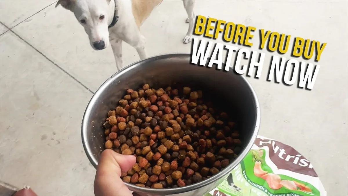 is nutrish dog food healthy