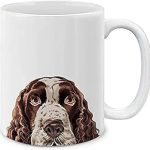 Best Dog Food for English Springer Spaniel