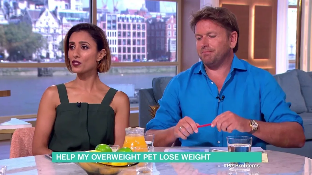 overweight dog