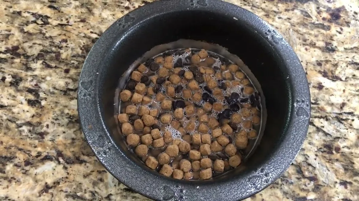 softened dog food
