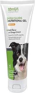 Best Food for Dog After Giving Birth