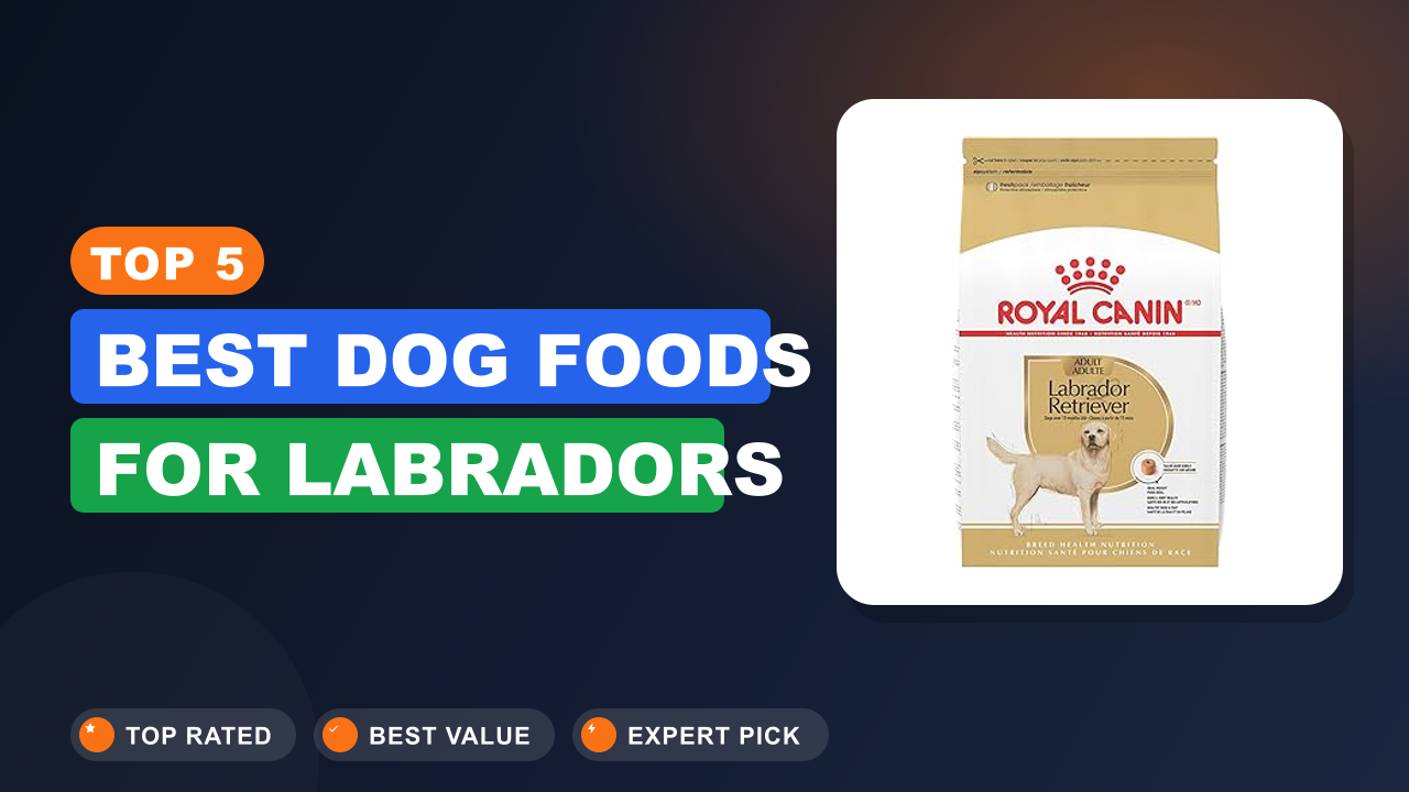 Top 5 Best Dog Foods for Labradors