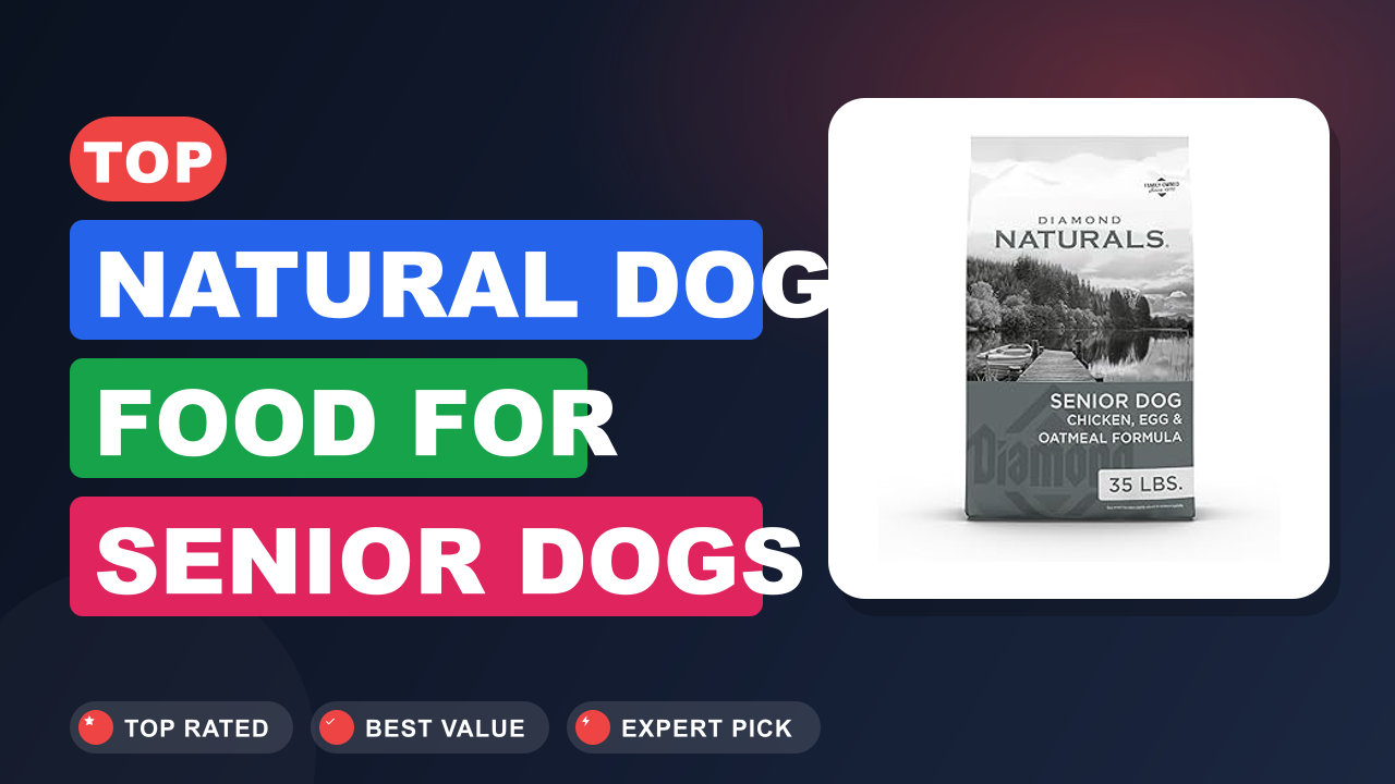 Top Natural Dog Food for Senior Dogs