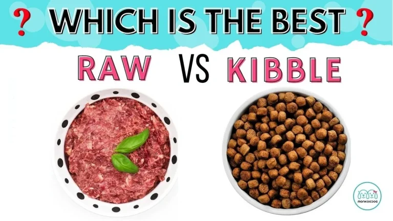 what is the healthiest dog food brand