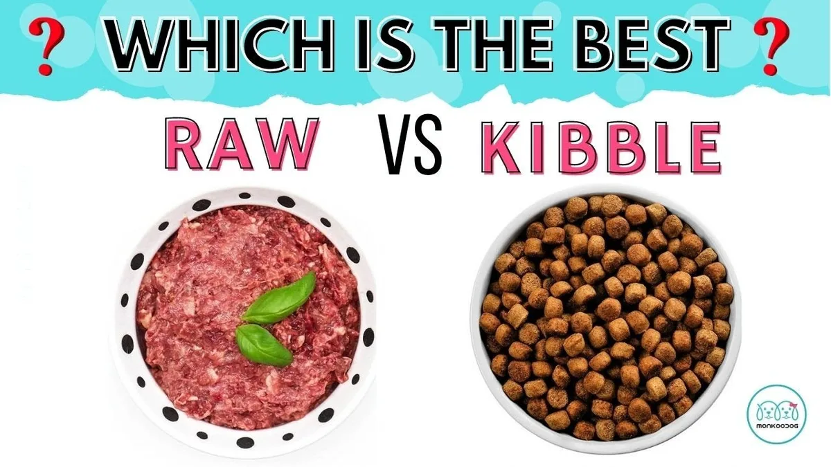 what is the healthiest dog food brand