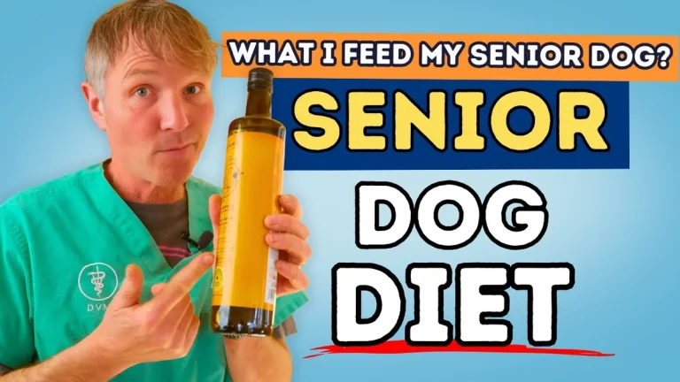 what makes senior dog food different