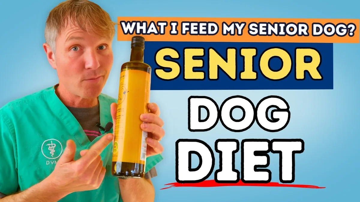 what makes senior dog food different
