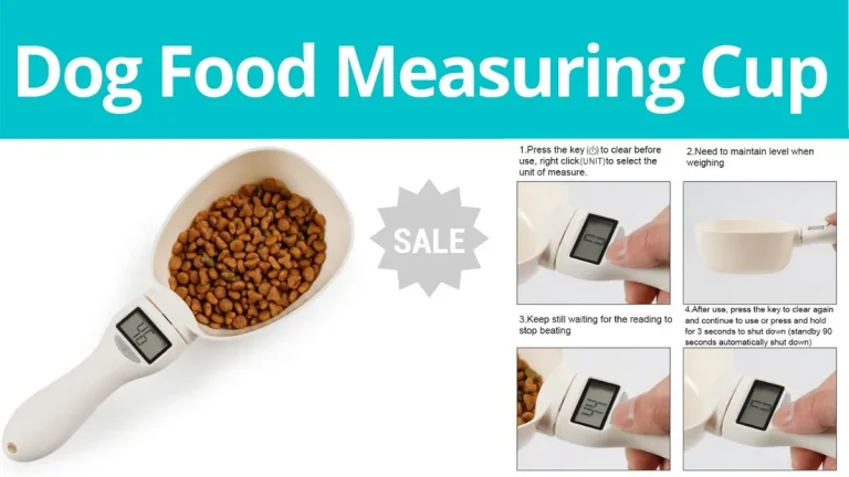 when do dogs switch to adult food