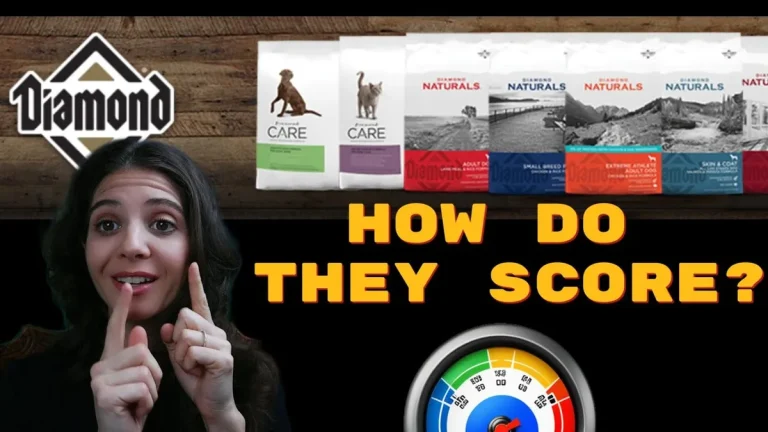 where can you buy diamond dog food