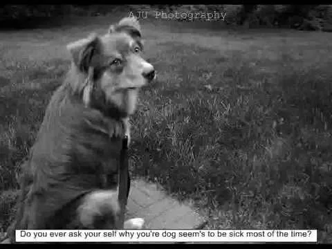 where is fromm dog food made