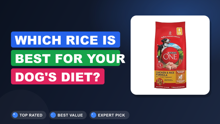 Which Rice is Best for Your Dog's Diet?