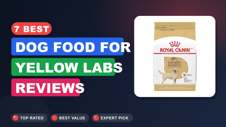 7 Best Dog Food for Yellow Labs Reviews