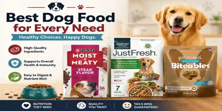 Best Soft Dog Food for Senior Dogs With No Teeth