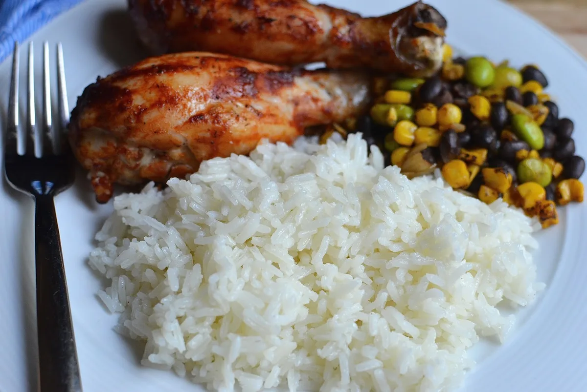 bland diet for dogs after vomiting