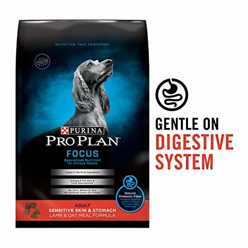 Dry dog food bags
