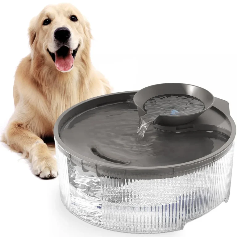 how long to withhold food after dog vomits