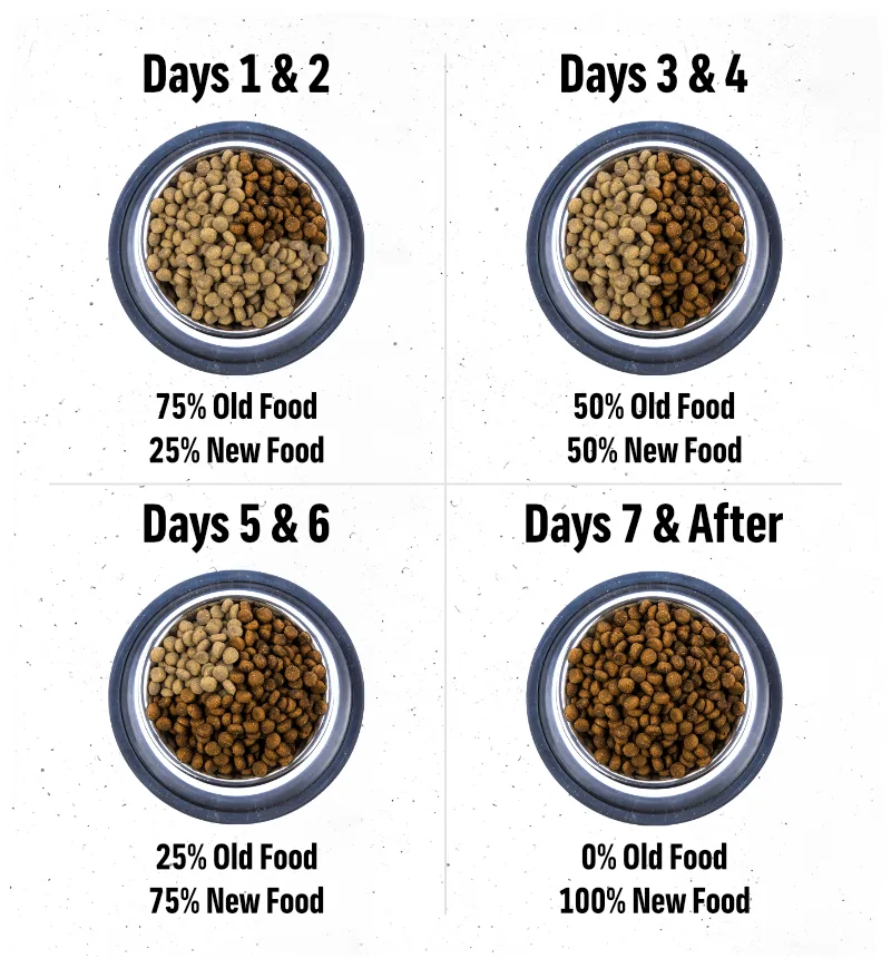 how to transition dog food